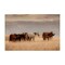 Stupell Industries Equestrian Montana Herd Canvas, design by Christy Berry